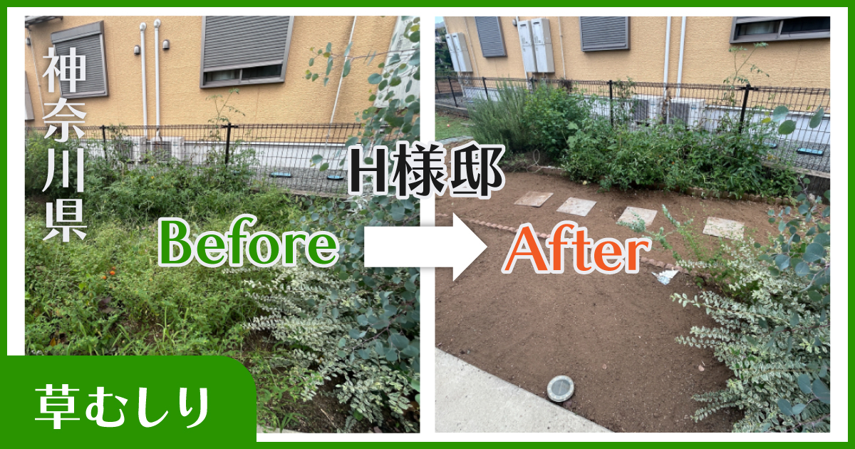 神奈川県H様邸｜草むしり実績Before-after