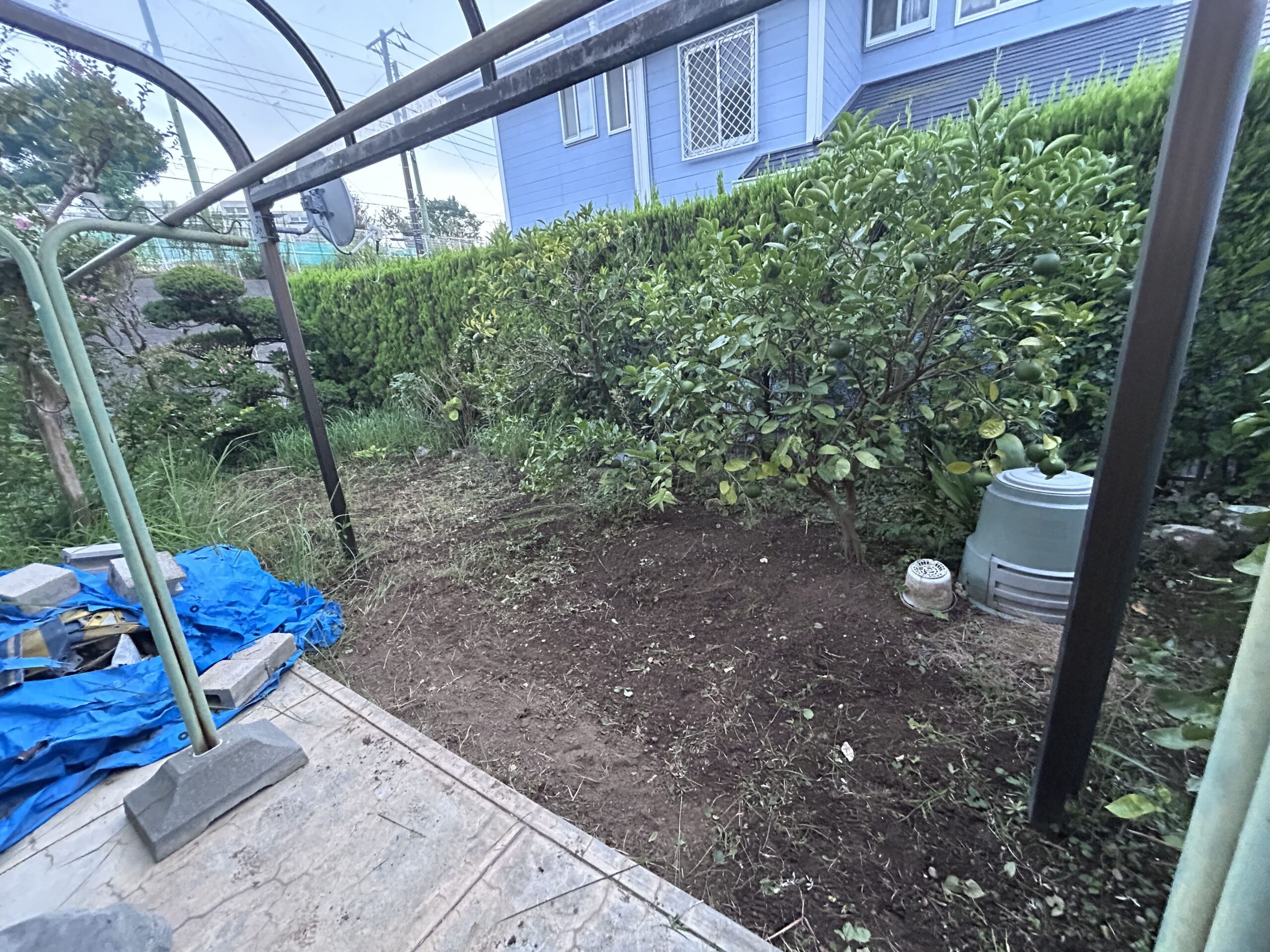 横浜市草むしり実績|小高屋(コダカヤ)