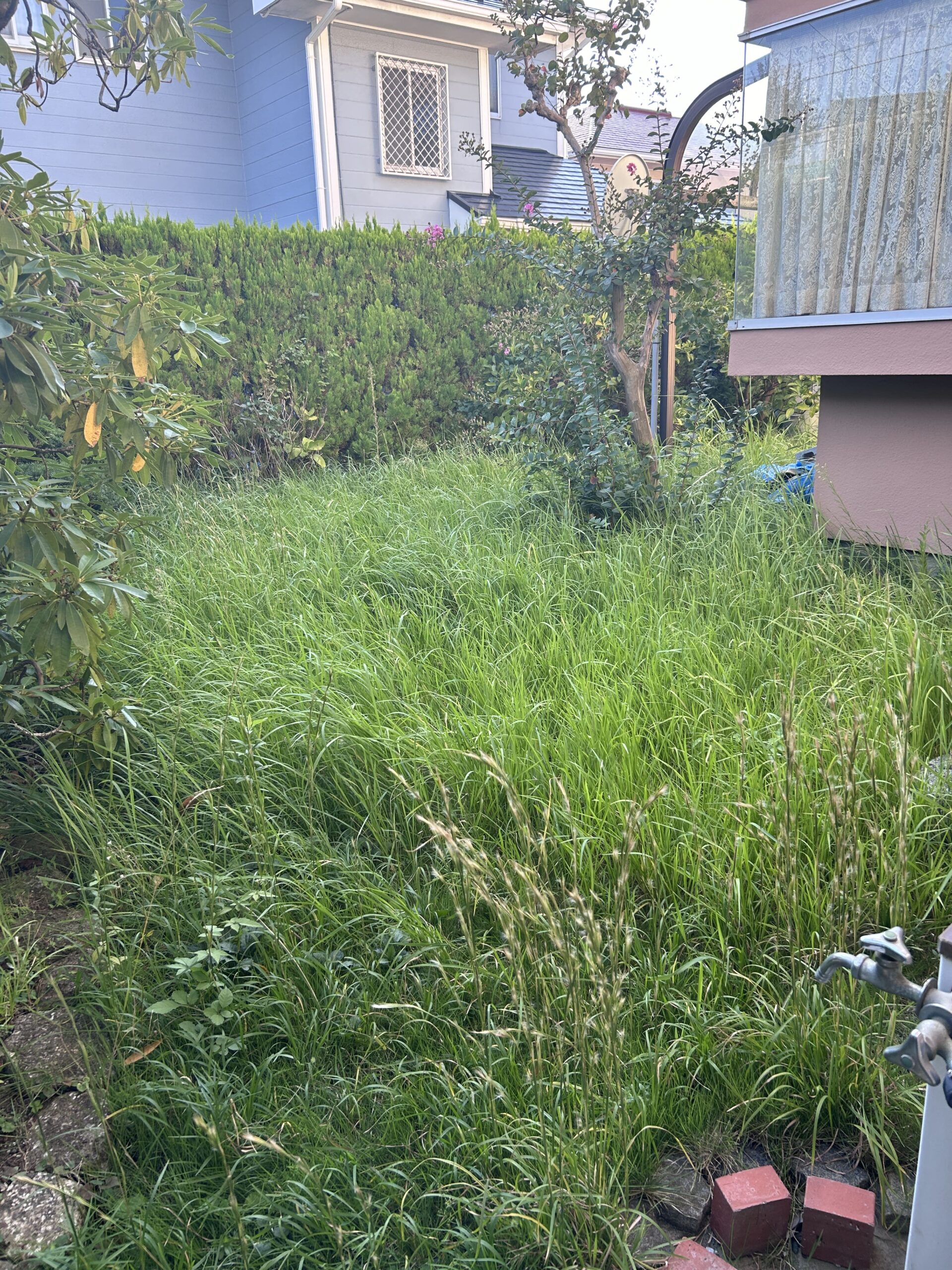横浜市草むしり実績|小高屋(コダカヤ)