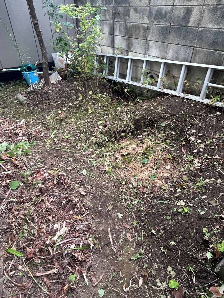 横浜市草むしり実績|before-after|小高屋(コダカヤ)