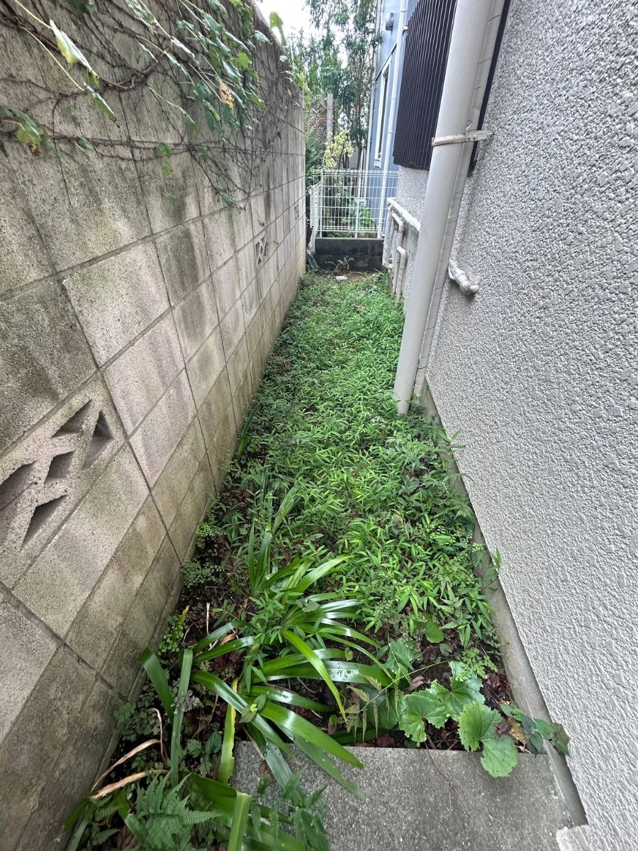 横浜市草むしり実績|before-after|小高屋(コダカヤ)