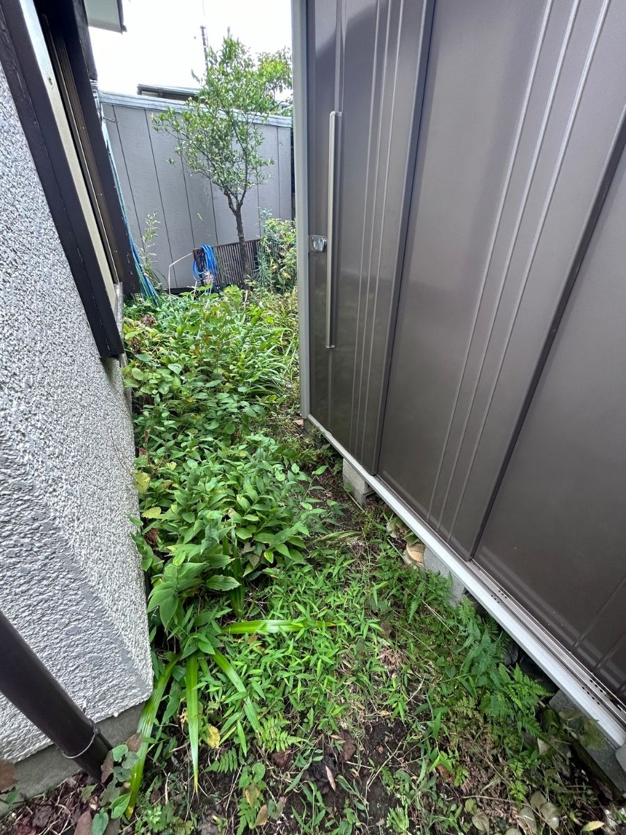 横浜市草むしり実績|before-after|小高屋(コダカヤ)