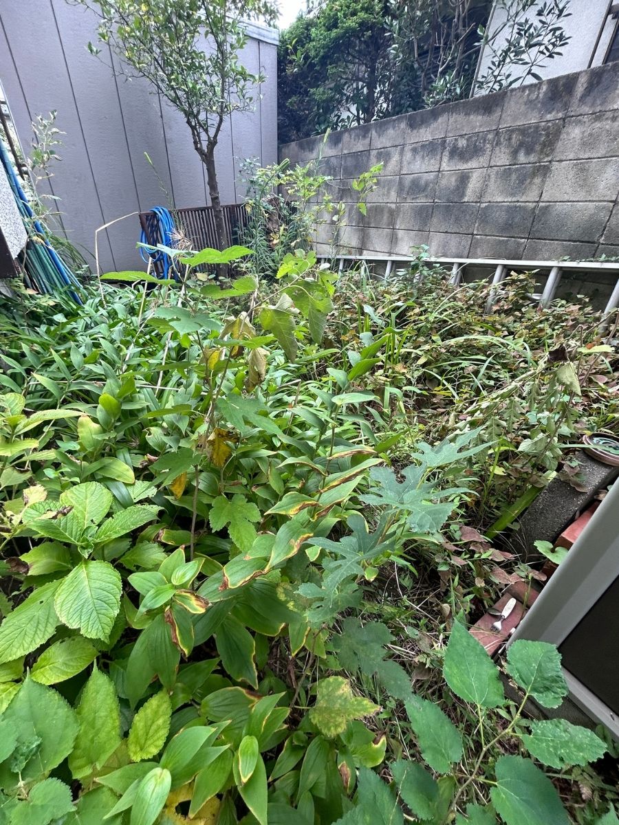 横浜市草むしり実績|before-after|小高屋(コダカヤ)