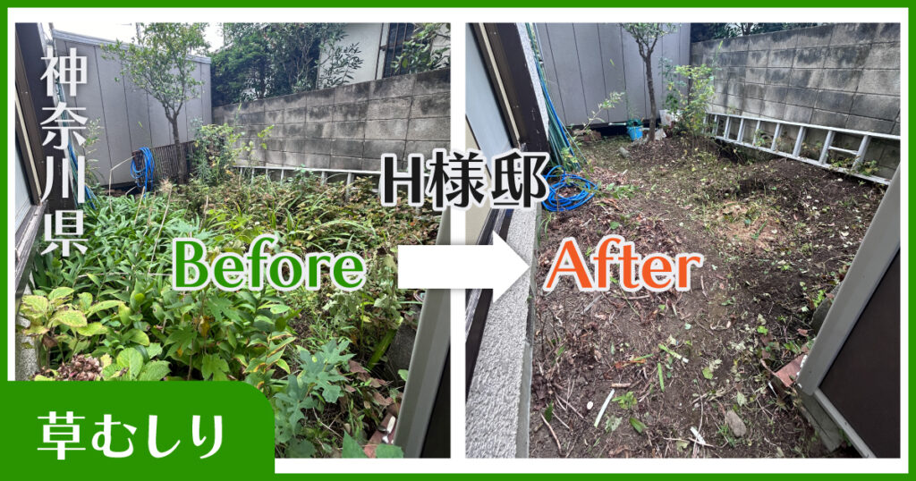 横浜市草むしり実績｜before-after｜小高屋（コダカヤ）