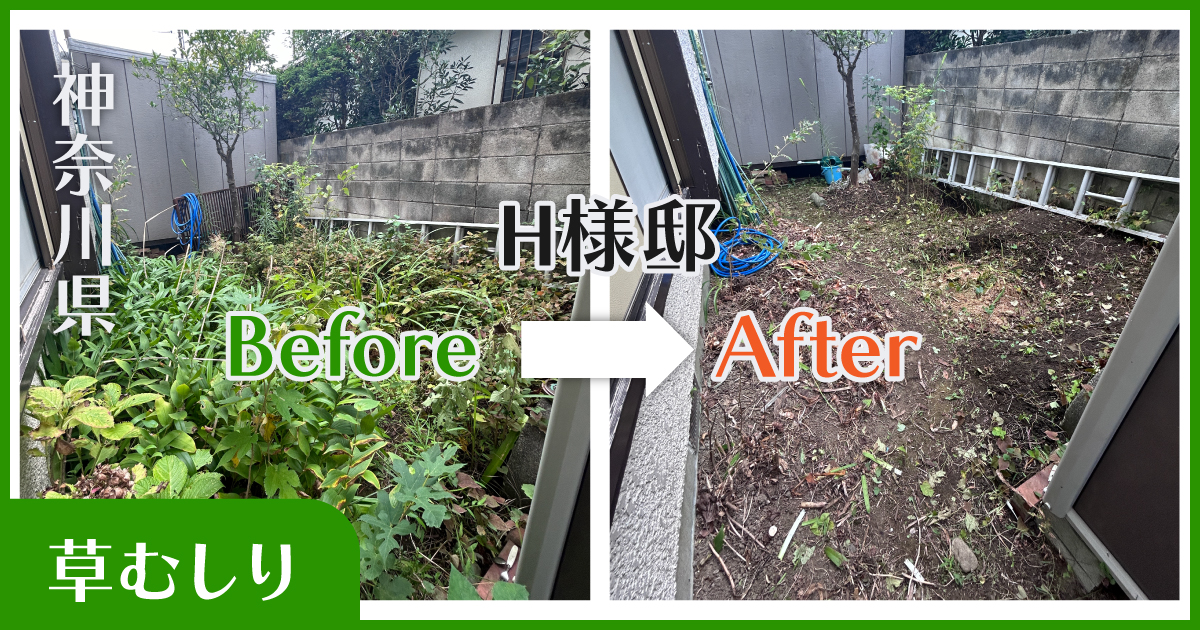 横浜市草むしり実績|before-after|小高屋(コダカヤ)