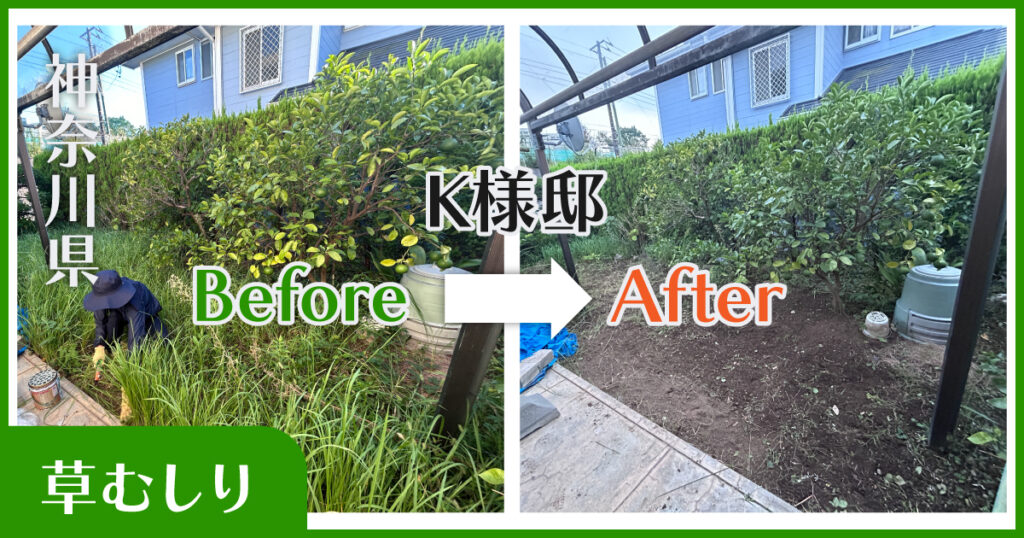 横浜市草むしり実績｜before-after｜小高屋（コダカヤ）