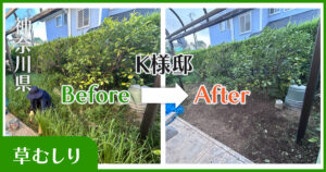 横浜市草むしり実績|before-after|小高屋(コダカヤ)
