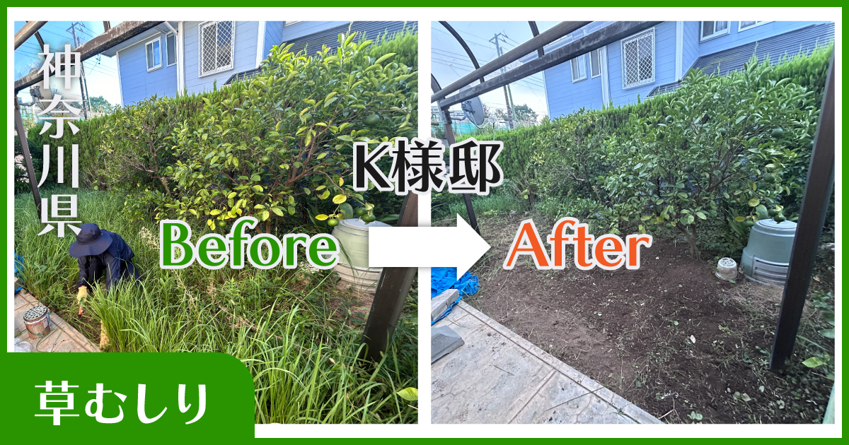 横浜市草むしり実績|before-after|小高屋(コダカヤ)